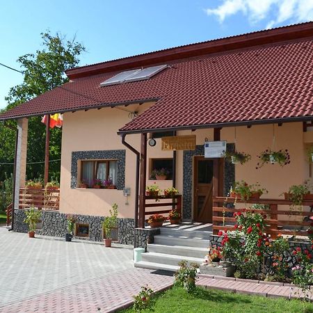 Arnota Villa Costesti  Exterior photo