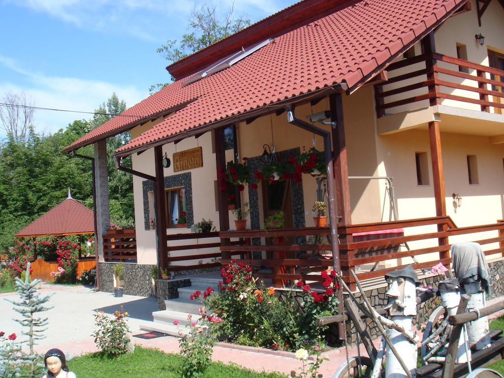 Arnota Villa Costesti  Exterior photo